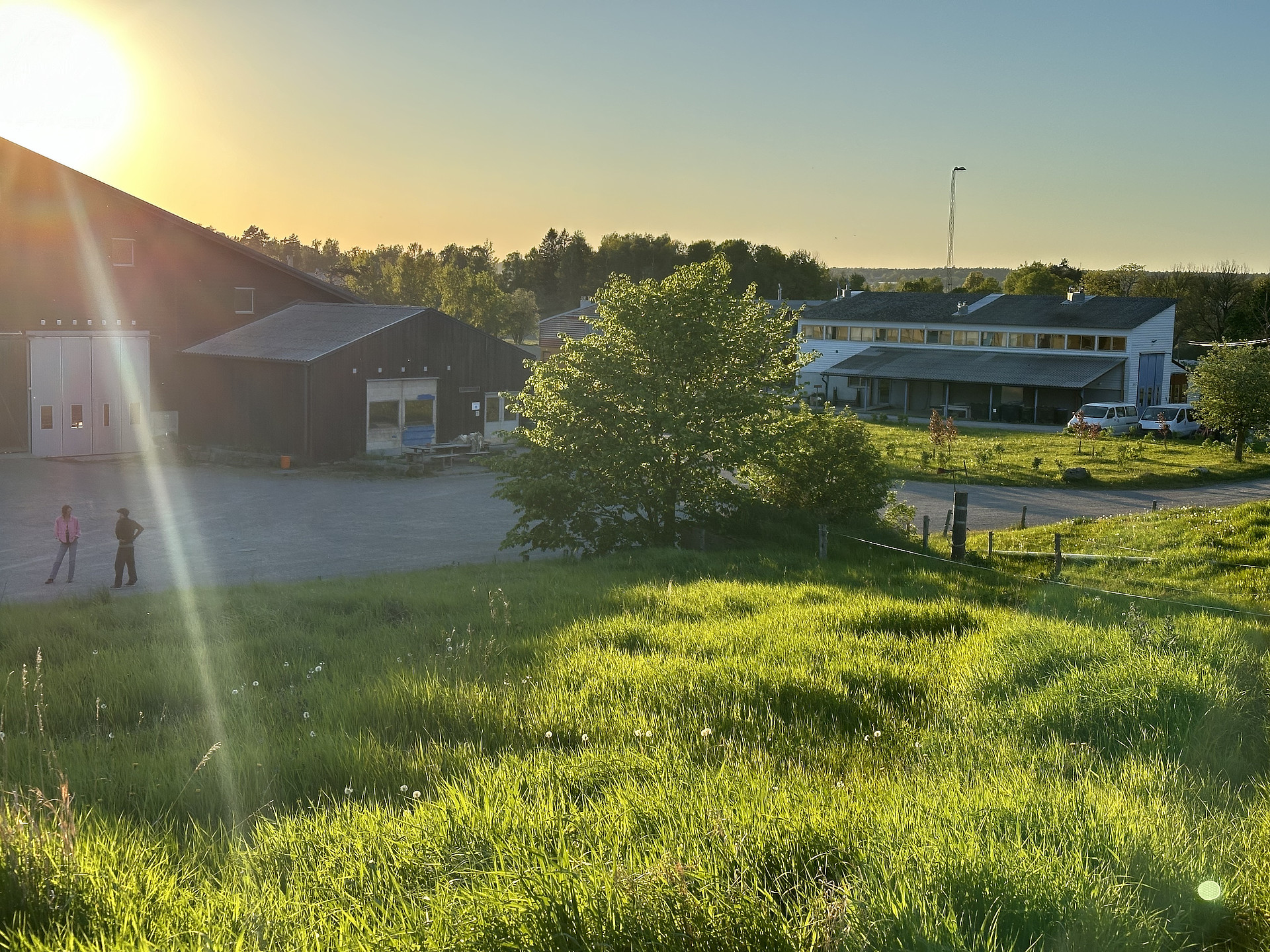 Nibble Gård och Järna Naturbruksgymnasium vid solnedgången