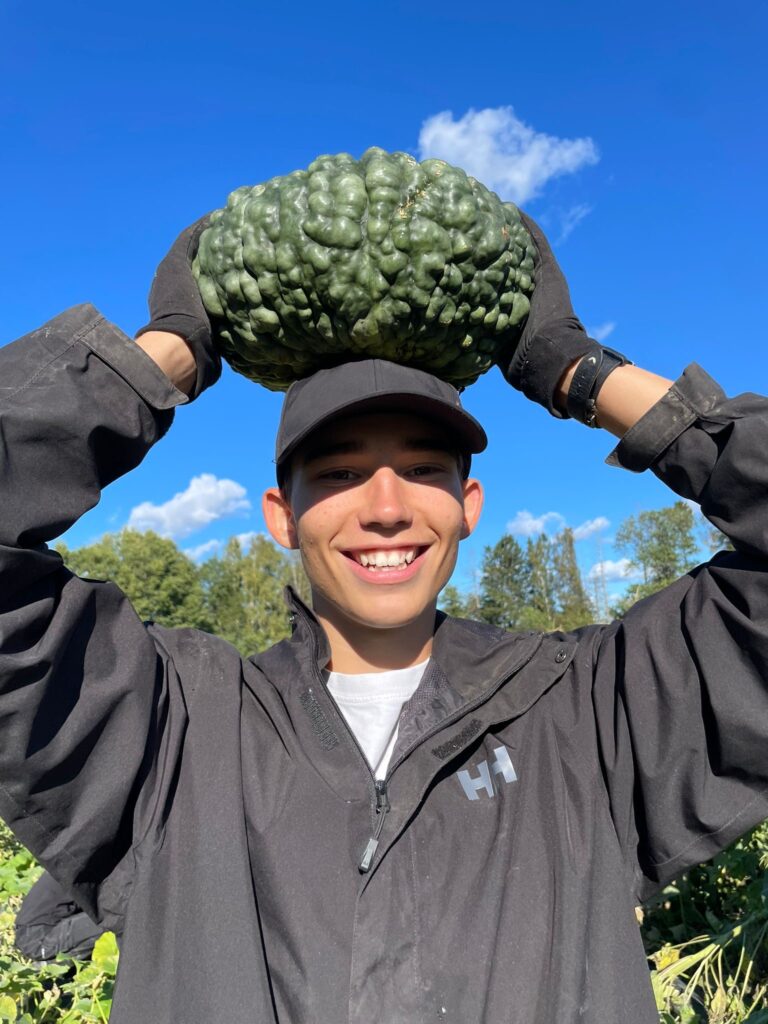 Elev på Järna Naturbruksgymnasium som skördar