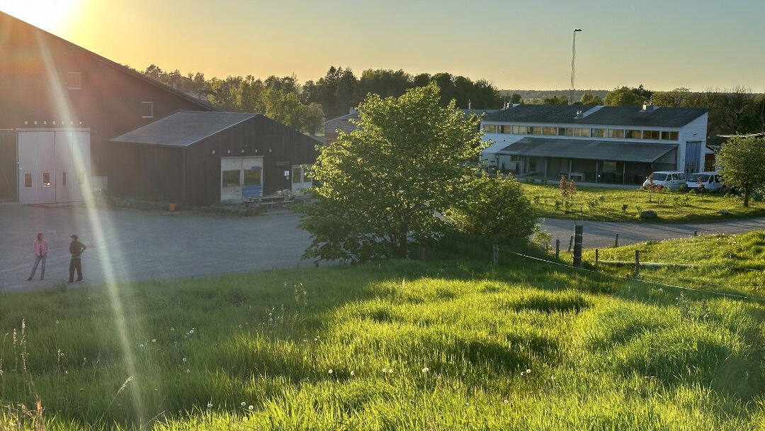 En vacker sommardag på Nibble Gård